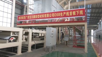 广西宝尔康新型材料OSB定向刨花板项目开始试产